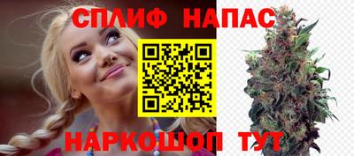 прущие грибы Гагарин