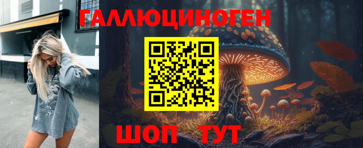 Галлюциногенные грибы Psilocybe  Вход с VPN  Псилоцибиновые грибы Psilocybine cubensis  Белорецк 